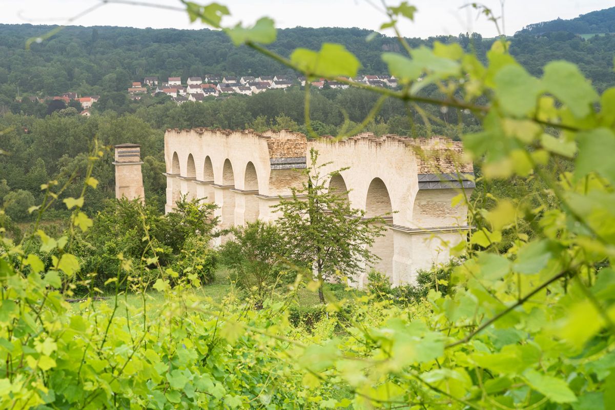 Domaine-de-la-Joyeuse-vignes.jpg