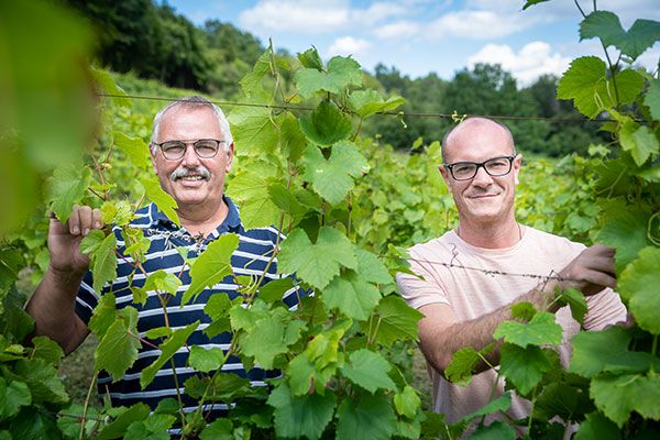 vign-viticulteurs.jpg