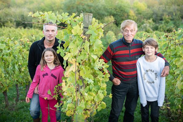 Domaine-des-Coteaux-de-Dornot-portrait.jpg